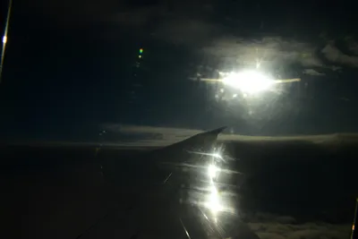 DSC_9807 (Large).JPG